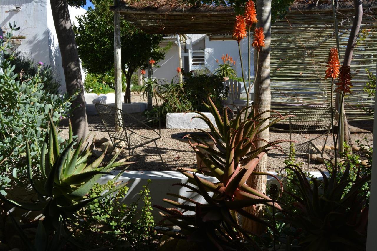 Ta Mala'S Cottage Prince Albert Extérieur photo